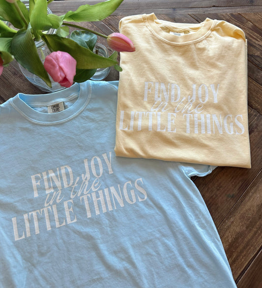 Find Joy in the Little Things Tee